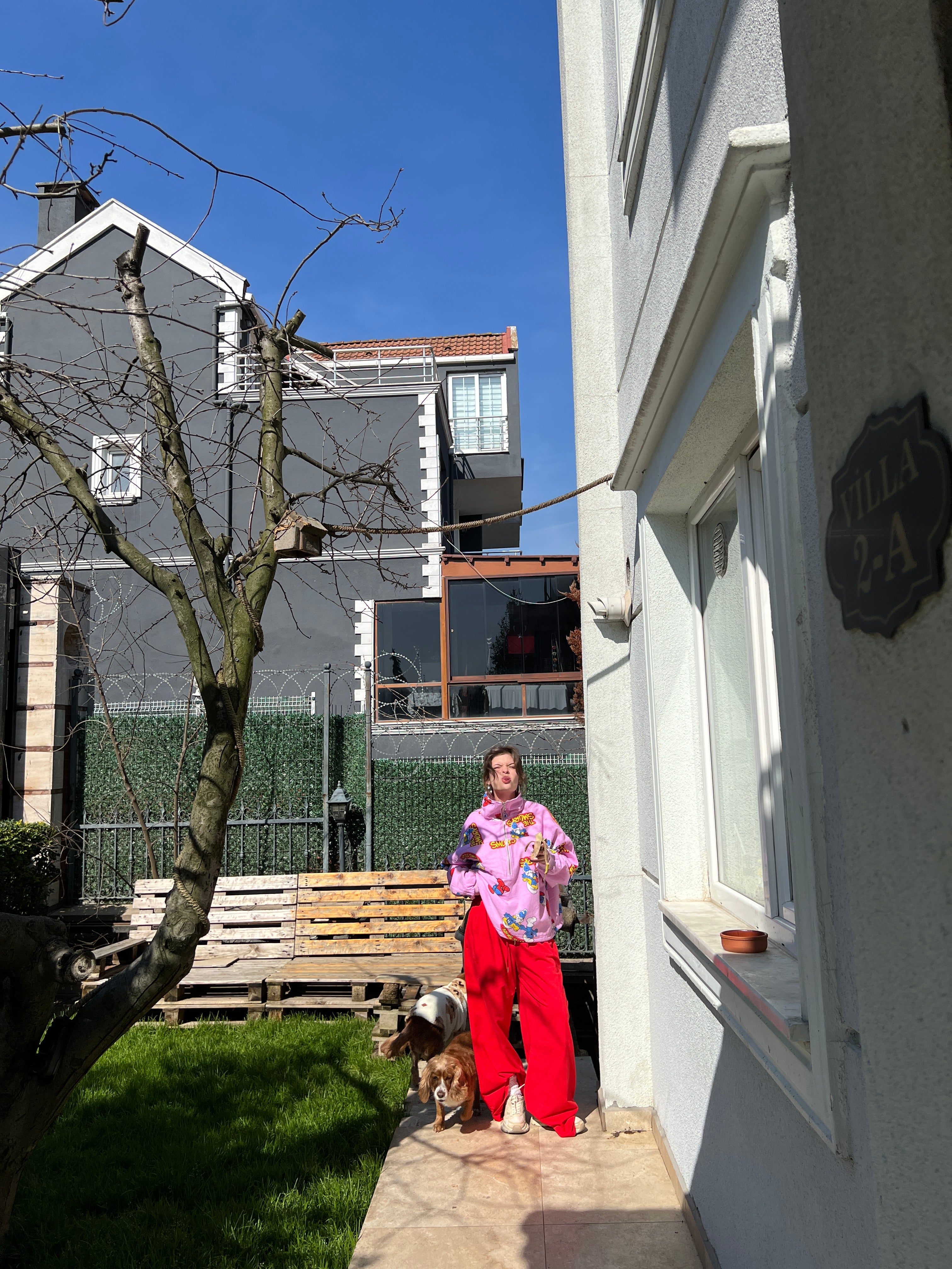 Çift Taraflı Şirinler Hoodie(pembe)