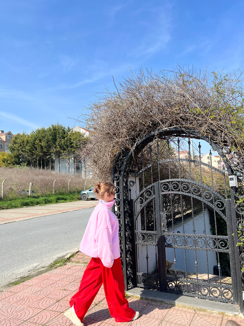 Çift Taraflı Şirinler Hoodie(pembe)