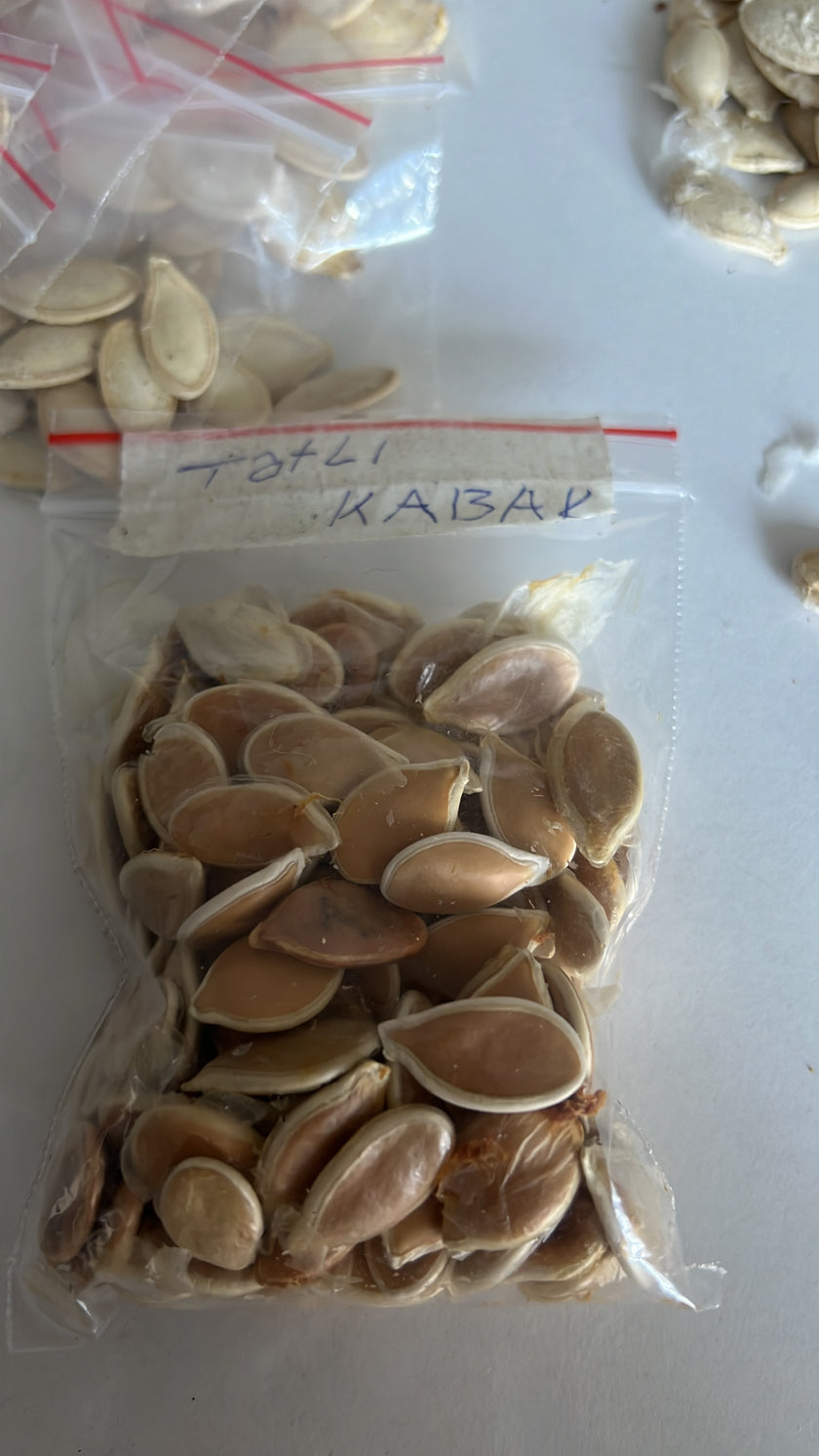 Yerli Balkabağı Ata Tohumu