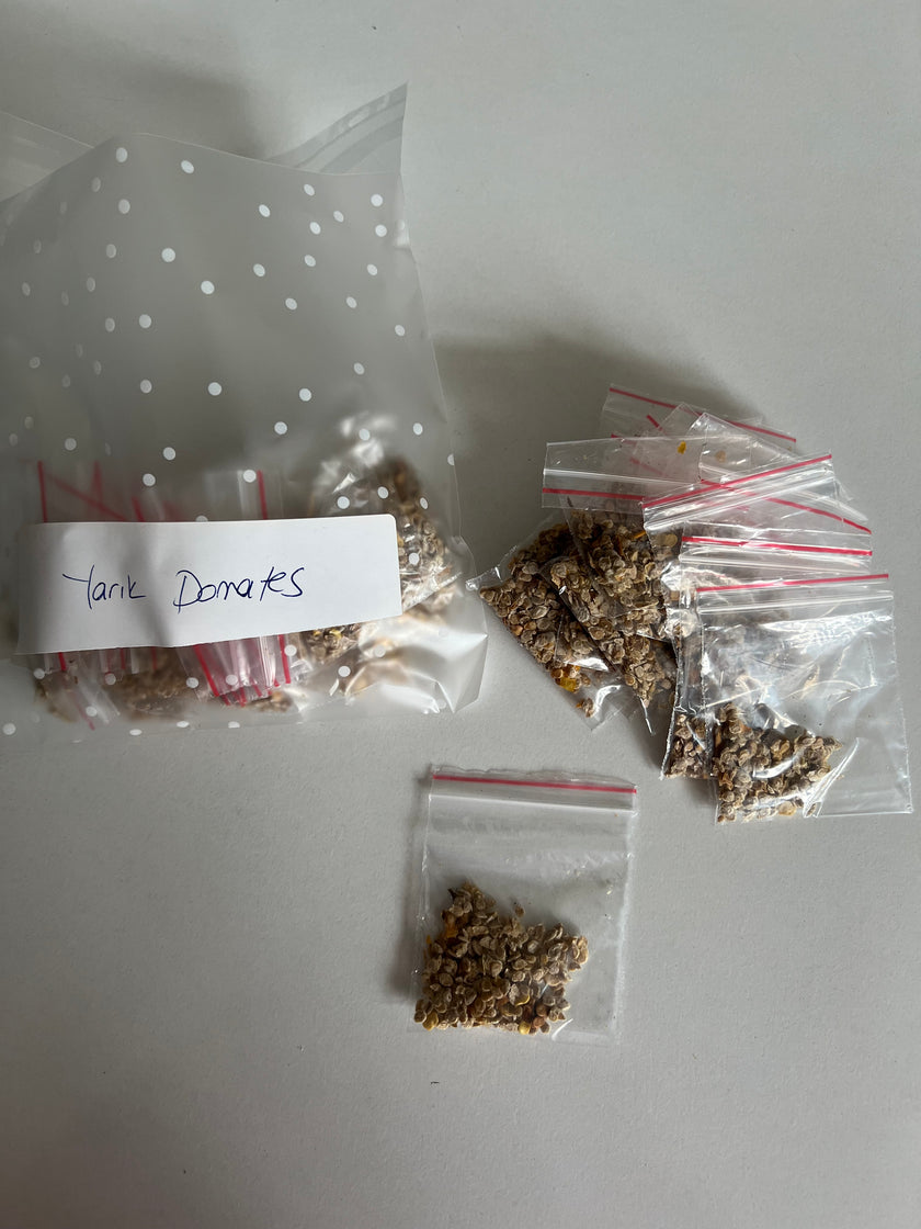 Yerli Yarık Domates Ata Tohumu