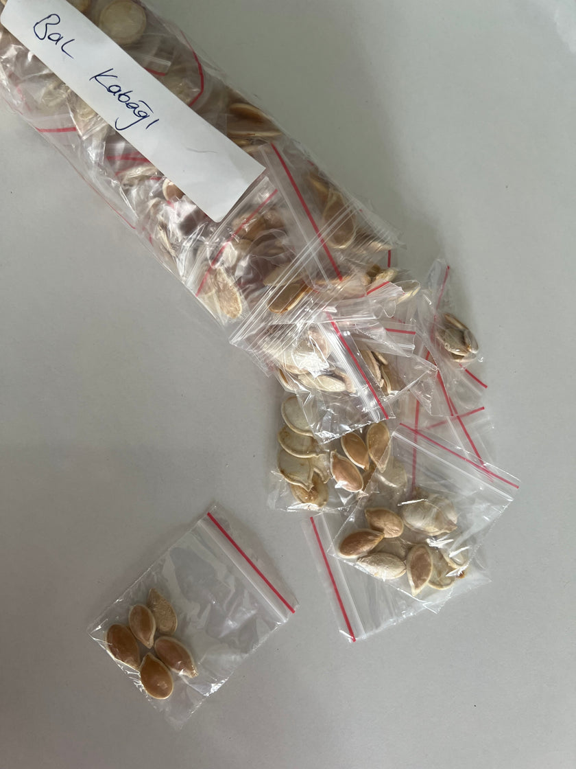 Yerli Balkabağı Ata Tohumu